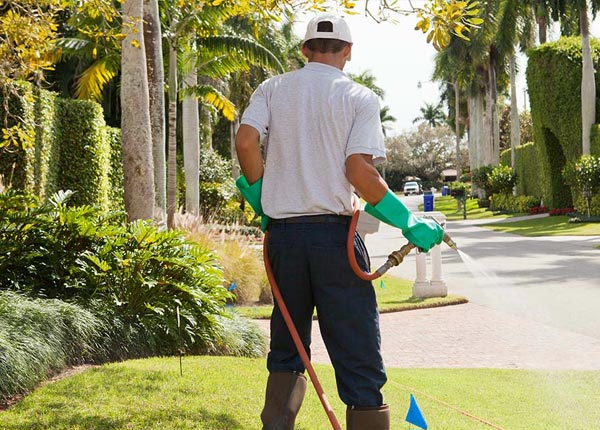 About Bernhards Bay NY Pest Control